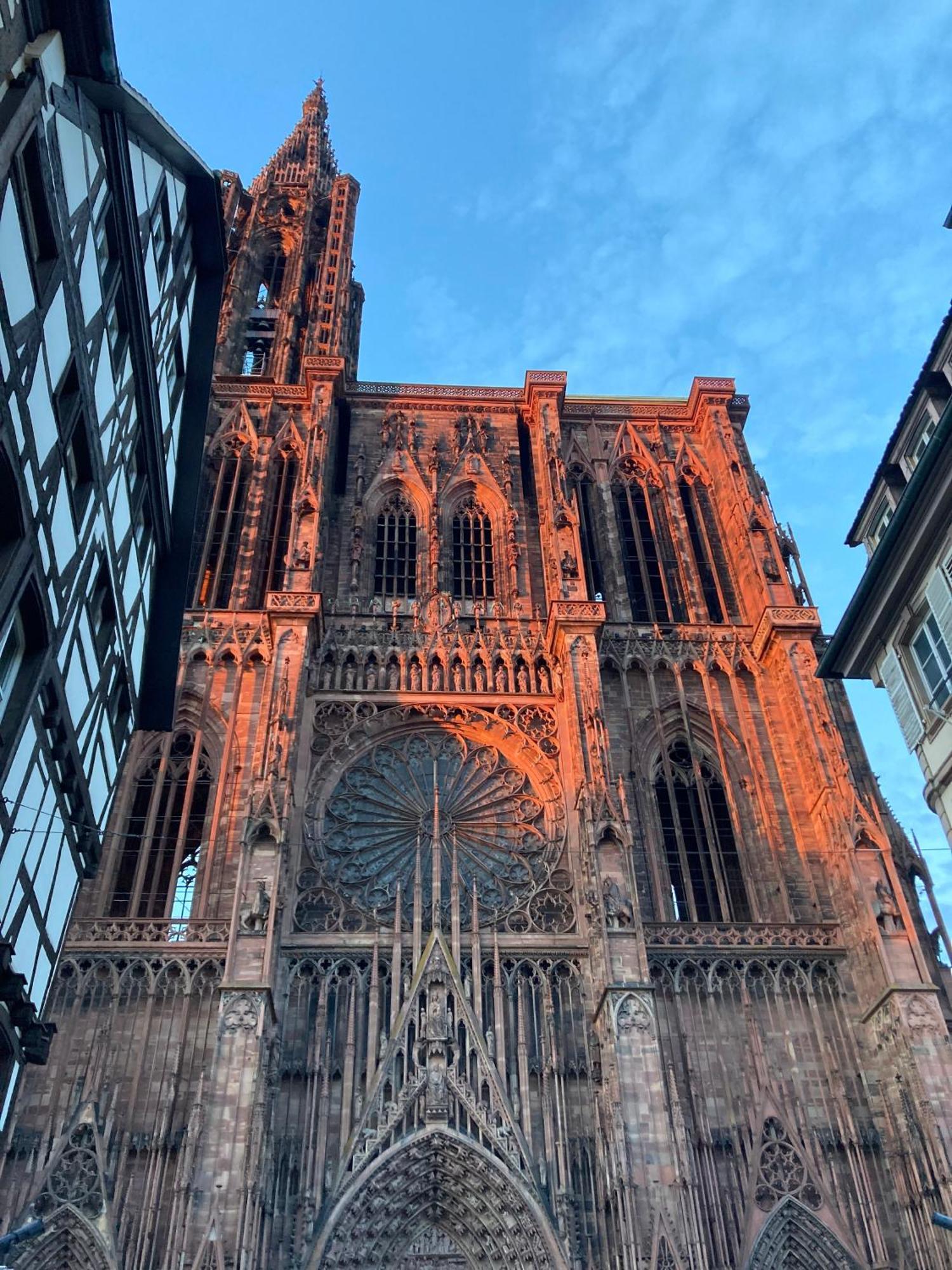 Joli Studio Dans L'Ancien Quartier De Cronenbourg Strasbourg Exteriör bild